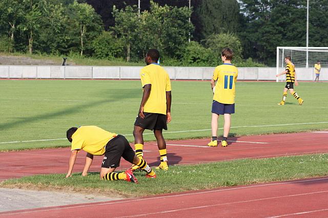 FCL-YB-2010 138
