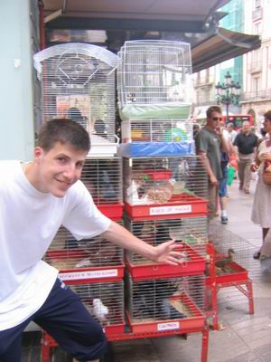 lloret2004 84
