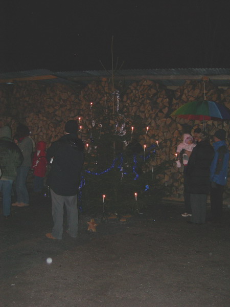 Waldweihnacht FCL 06 29