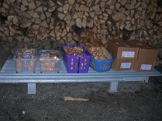 Waldweihnacht FCL 06 34