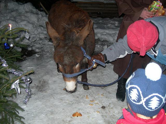 Waldweihnacht2008 27