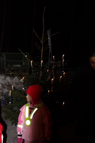 FCL Waldweihnacht 2010 085