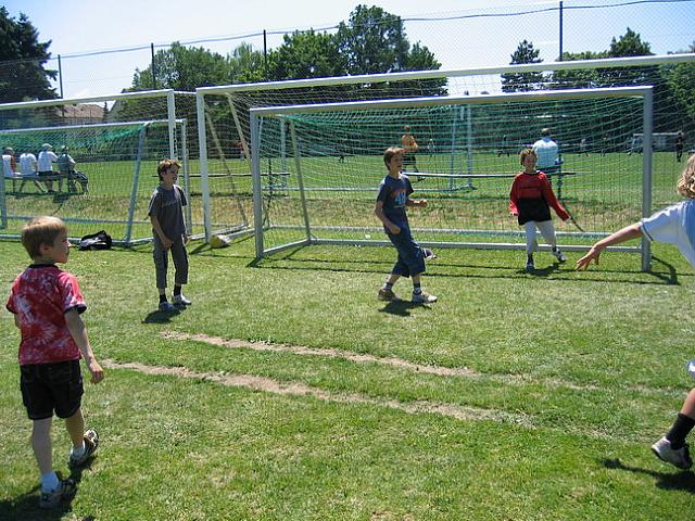 IMG 4753