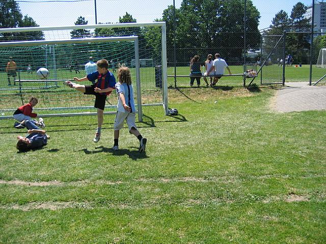 IMG 4754