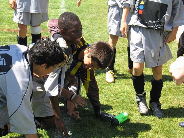IMG 4767