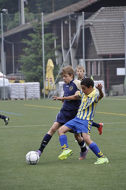 D Turnier 2010 18