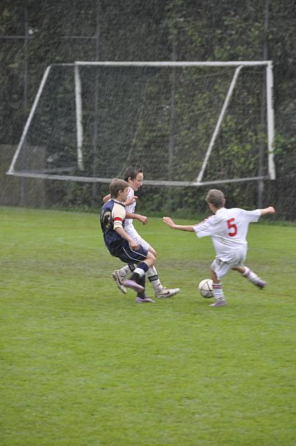 D Turnier 2010 93