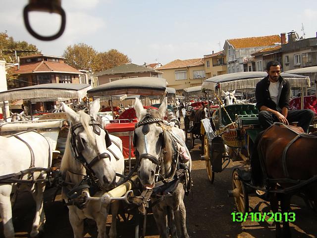 Tirana 2013 043