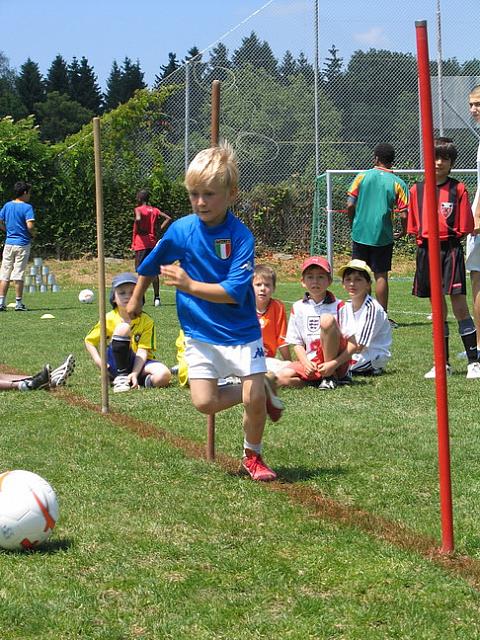 IMG 4671