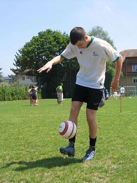 IMG 4685