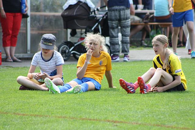 Sponsorenwettkampf 2015 028