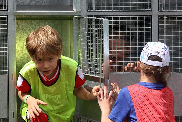 SponsorenwettkampfKids+Eltern 2018 052