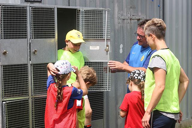 SponsorenwettkampfKids+Eltern 2018 064