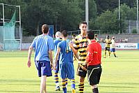FCL-YB-2010 102