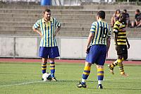 FCL-YB-2010 110