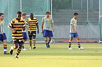 FCL-YB-2010 112