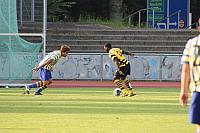 FCL-YB-2010 116