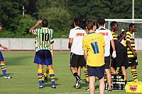 FCL-YB-2010 133