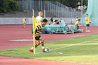 FCL-YB-2010 134
