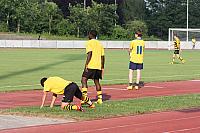 FCL-YB-2010 138