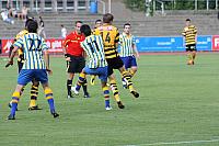 FCL-YB-2010 141