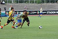 FCL-YB-2010 142