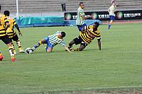 FCL-YB-2010 143