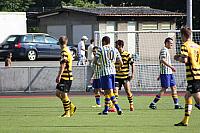 FCL-YB-2010 204
