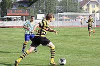 FCL-YB-2010 205