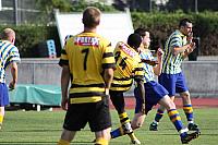 FCL-YB-2010 207