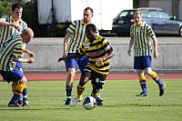 FCL-YB-2010 208