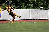 FCL-YB-2010 212