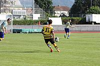 FCL-YB-2010 214