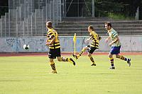 FCL-YB-2010 219