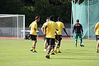 FCL-YB-2010 337