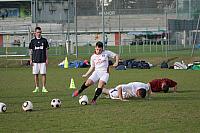 Brissago 2012 0104