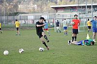 Brissago 2012 099