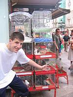 lloret2004 84