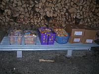 Waldweihnacht FCL 06 34