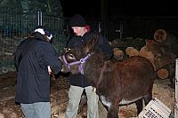 Waldweihnacht2007 59