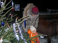 Waldweihnacht2008 11