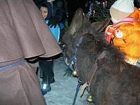 Waldweihnacht2008 20