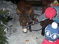 Waldweihnacht2008 27