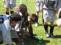 IMG 4767