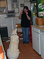Jass 2007 38