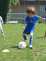 IMG 4681