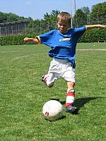 IMG 4690