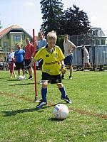 IMG 4727