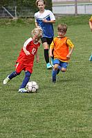 SponsorenwettkampfKids+Eltern 2018 0100