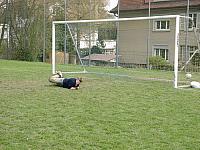 Woche2005 22